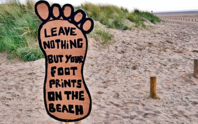 Green Questions to Ask Before Your Stay